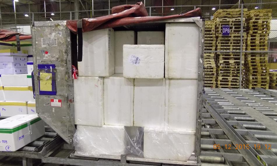 2015-12-8-953foto 2.JPG